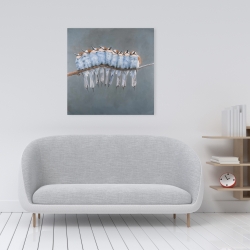 Canvas 24 x 24 - Bunch of small birds on a branch