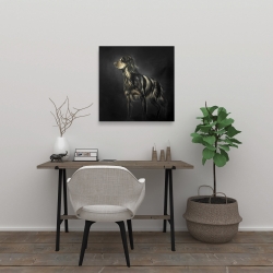 Canvas 24 x 24 - Picard spaniel