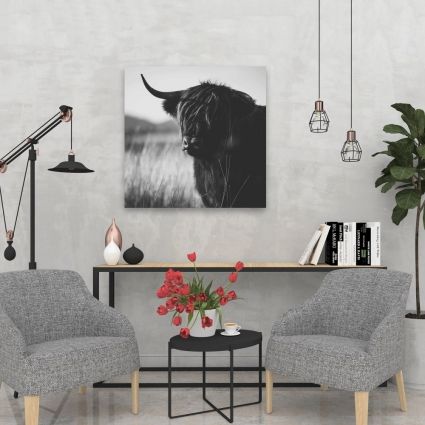 Belle vache highland monochrome
