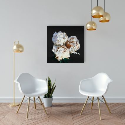 Pivoine en floraison