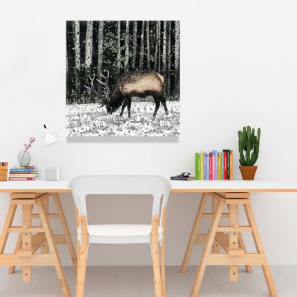 Caribou in the forest