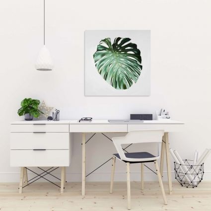 Feuille de monstera