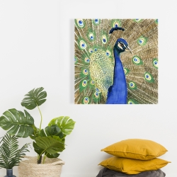 Toile 24 x 24 - Paon