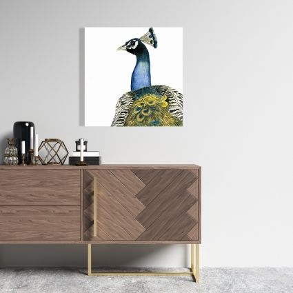 Watercolor peacock