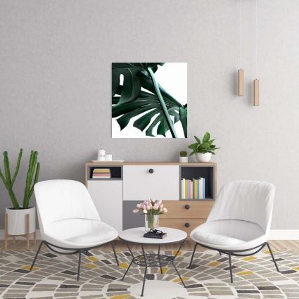 Monstera deliciosa