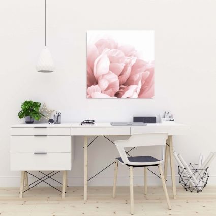 Peony flower dream