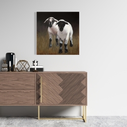 Canvas 24 x 24 - Two lambs