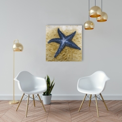 Toile 24 x 24 - Belle étoile de mer