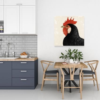 Belle poule noir
