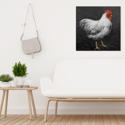 Canvas 24 x 24 - Grey rooster 2