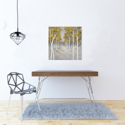 Canvas 24 x 24 - Yellow birch forest
