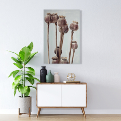 Toile 24 x 36 - Plantes à tête de pavot sépia