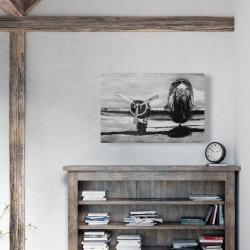 Toile 24 x 36 - Avion en tons de gris