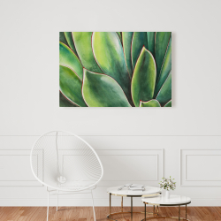 Toile 24 x 36 - Plante d'agave à l'aquarelle