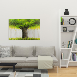 Canvas 24 x 36 - Big green tree