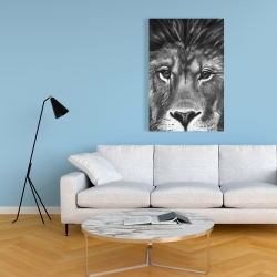 Canvas 24 x 36 - Lion portrait