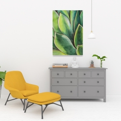 Toile 24 x 36 - Plante d'agave à l'aquarelle
