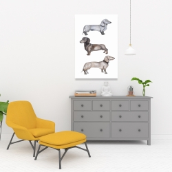 Toile 24 x 36 - Chiens teckel