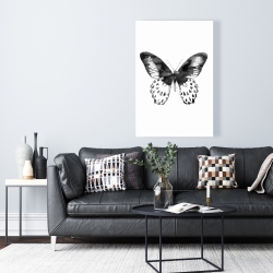 Toile 24 x 36 - Papillon noir