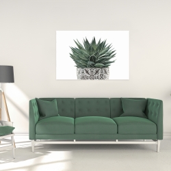 Canvas 24 x 36 - Zebra plant succulent