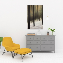 Canvas 24 x 36 - Silent forest