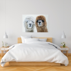 Canvas 24 x 36 - Two lamas