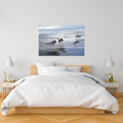 Canvas 24 x 36 - Three gulls