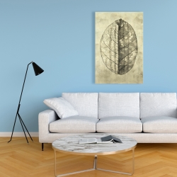 Canvas 24 x 36 - Translucent