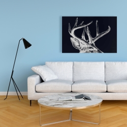 Canvas 24 x 36 - Blue roe deer plume