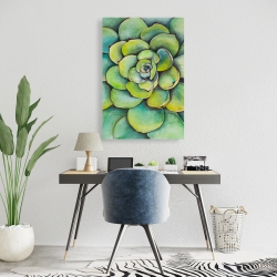 Toile 24 x 36 - Succulent à l'aquarelle