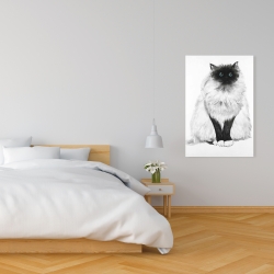 Canvas 24 x 36 - Blue eyes fluffy siamese cat