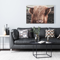 Toile 24 x 36 - Vache highland désaturée