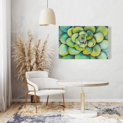 Toile 24 x 36 - Succulent à l'aquarelle
