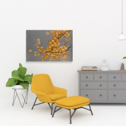 Canvas 24 x 36 - Golden wattle plant with pugg ball flowers