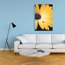 Canvas 24 x 36 - Yellow daisy and ladybug