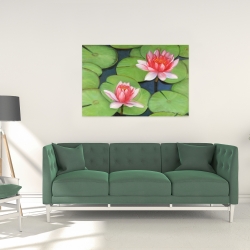 Toile 24 x 36 - Fleurs de lotus dans un marais