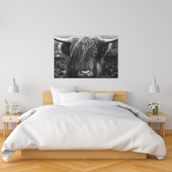 Canvas 24 x 36 - Monochrome portrait highland cow