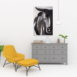 Toile 24 x 36 - Plan rapproché d'un taureau