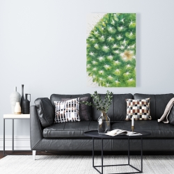 Toile 24 x 36 - Mini cactus à l'aquarelle