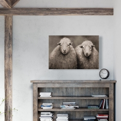 Toile 24 x 36 - Moutons sépia