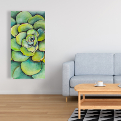 Toile 24 x 48 - Succulent à l'aquarelle