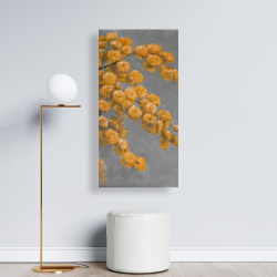 Toile 24 x 48 - Plante à fanons dorés en fleurs