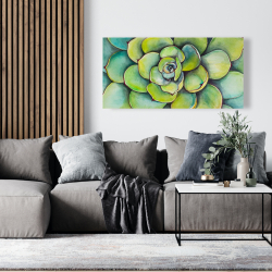 Toile 24 x 48 - Succulent à l'aquarelle
