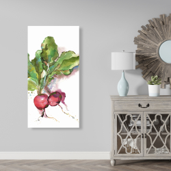 Toile 24 x 48 - Radis à l'aquarelle