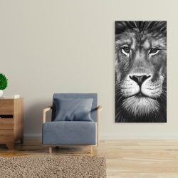 Canvas 24 x 48 - Lion portrait
