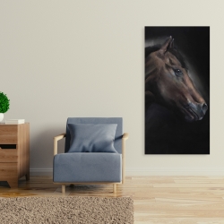 Toile 24 x 48 - Cheval solitude