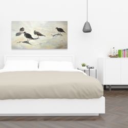 Toile 24 x 48 - Oiseaux bécasseau