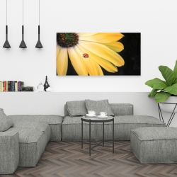 Canvas 24 x 48 - Yellow daisy and ladybug