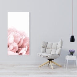 Toile 24 x 48 - Peonie, fleur de rêve
