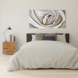 Canvas 24 x 48 - White rose closeup